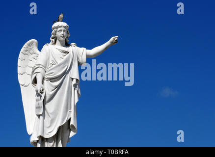 Ein Vogel hockt auf einer Statue eines Engels im Doppelpunkt Friedhof (Cementerio de Cristóbal Colón) in Havanna, Kuba. Der Friedhof wurde im Jahre 1876 gegründet. Stockfoto