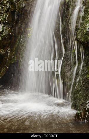 Wasserfall in einem Wasserfall an der Speke Mühle Mund, Hartland Quay, North Devon, Großbritannien. Stockfoto