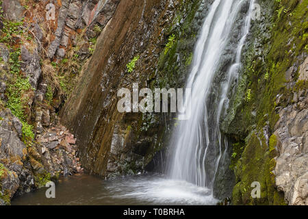 Wasserfall in einem Wasserfall an der Speke Mühle Mund, Hartland Quay, North Devon, Großbritannien. Stockfoto