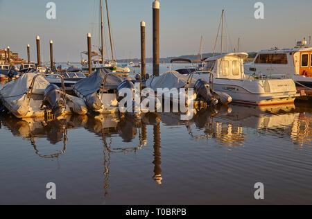 Angelegte Boote in der Abendsonne, an Pontons im Hafen von Brunswick, an der Mündung des Flusses Exe, in der Nähe von Exeter, Devon, Großbritannien. Stockfoto