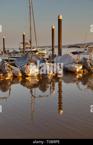 Angelegte Boote in der Abendsonne, an Pontons im Hafen von Brunswick, an der Mündung des Flusses Exe, in der Nähe von Exeter, Devon, Großbritannien. Stockfoto