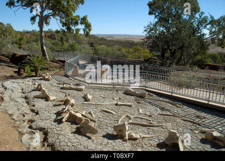 DINOSAUR CANYON, die Australische Zeitalter der Dinosaurier Museum für Naturkunde, Winton, Queensland, Australien. Stockfoto