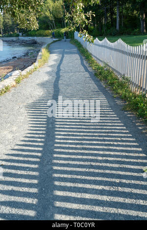 Sandigen Weg entlang des Strandes in Bar Harbor Maine. Den Schatten der Lattenzaun cast schafft eine schöne Muster. Stockfoto