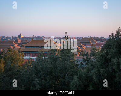 Alte Peking Verbotene Stadt von oben im Abendlicht in der Diagonale Perspektive mit Bäumen im Vordergrund, China Stockfoto