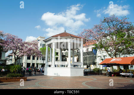 Plaza de la Independencia, Plaza Mayor und den Plaza Catedral in der Casco Viejo in Panama City Stockfoto