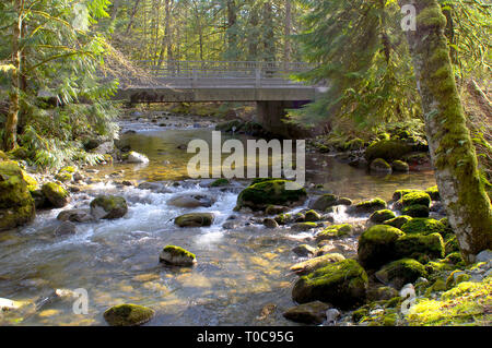 Brücke über Kanaka Creek mit bemoosten Felsen und sonnendurchfluteten Bäume. Stockfoto