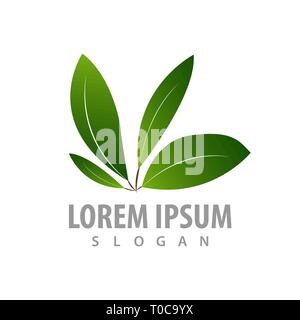 Four Leaf logo Konzept Design. Symbol grafische Vorlage element Stock Vektor