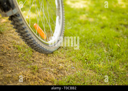 Reifen eines Zyklus mit Speichen auf grünem Gras geparkt. Stockfoto