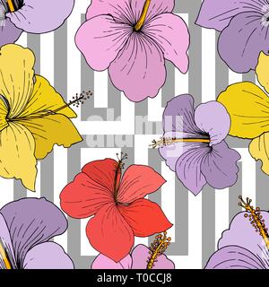 Vektor Hibiskus Blumen tropische Blumen. Graviert Tinte Kunst auf weißem Hintergrund. Nahtlose Muster. Stock Vektor