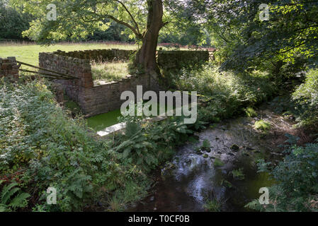 Altes Schaf dip neben einem Bach in der Nähe von Hayfield im Peak District, Derbyshire, England. Stockfoto