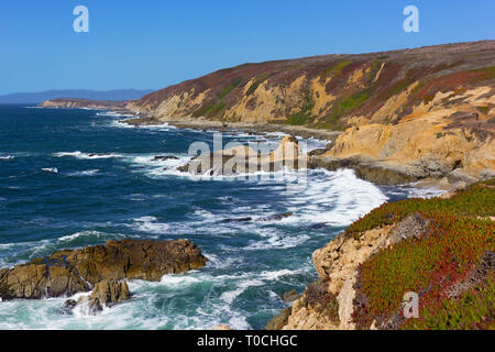 Pazifische Küstenlinie von Bodega Bay in Kalifornien, USA. Hohe Wellen der schroffen Küste in der Nähe von Bodega Head Vorgebirge. Stockfoto