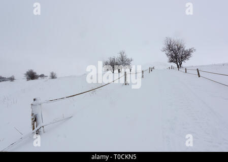 Ein toter einsamer Baum wird durch Schneefall in einer Winterlandschaft, mit einem hölzernen Zaun um einen schneebedeckten Feld in Tannourine Zeder, Libanon. Stockfoto