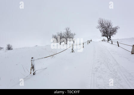 Ein toter einsamer Baum wird durch Schneefall in einer Winterlandschaft, mit einem hölzernen Zaun um einen schneebedeckten Feld in Tannourine Zeder, Libanon. Stockfoto