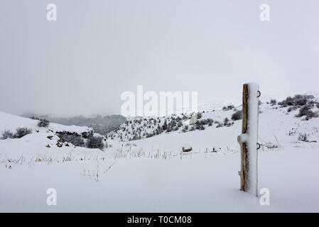 Ein toter einsamer Baum wird durch Schneefall in einer Winterlandschaft, mit einem hölzernen Zaun um einen schneebedeckten Feld in Tannourine Zeder, Libanon. Stockfoto