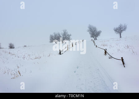 Ein toter einsamer Baum wird durch Schneefall in einer Winterlandschaft, mit einem hölzernen Zaun um einen schneebedeckten Feld in Tannourine Zeder, Libanon. Stockfoto