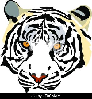 Abbildung: Ein weißer Tiger Kopf Stockfoto
