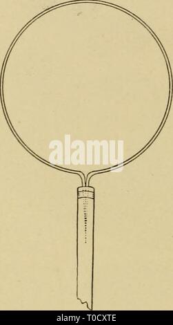 Elementare Entomologie (1912) Elementare Entomologie elementaryentom 00 sand Jahr: 1912 132 ELEMENTARE ENTOMOLOGIE fest mit dem Stick mit stout Bindedraht. Der ring wird viel mehr fest gehalten werden, wenn die Enden des Drahtes geschärft werden und wieder im rechten Winkel gebogen und in die Stick angetrieben. Auch eine Nut auf beiden Seiten der Stick für den Empfang von Kabel w' krank machen es viel stouter. Es gibt zahlreiche andere Möglichkeiten der Konstruktion von net Frames, aber die meisten von ihnen sind auch für den Einsatz in der Praxis kompliziert. Viele falten Frames von verschiedenen Arten kann der entomo-logische Versorgungsunternehmen, Stockfoto