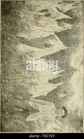 Ökonomische Entomologie für den Landwirt wirtschaftliche Entomologie für den Landwirt und Winzer economicentomolo01 smit Jahr: 1906 Stockfoto