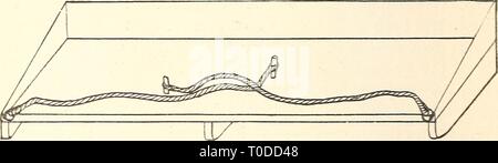 Ökonomische Entomologie für den Landwirt wirtschaftliche Entomologie für den Landwirt.. economicentomolo 00 Smit 0 Jahr: 1896 466 AiV EG 0X0 MIC ENTOMOLOGIE. Die Kante behindern eine Leinwand bedeckt, aufrechte Rahmen gespannt, mindestens 12 cm hoch, die Heuschrecken verhindert Sprung über die Maschine. Die planierraupe '''' können von Mann oder mit dem Pferd-power gezogen werden, und wenn sie in die untere ist mit Erdöl oder mit Wasser, auf dem ein Film von Kerosin geschwommen ist, bedeckt. Die Leinwand - Rahmen ist auch mit Kerosin angefeuchtet wurde. Wie das Gerät ist durch die Felder die Insekten vor dem Sprung gezeichnet, und in der Regel Stockfoto