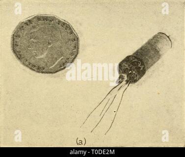 Elektronische Geräte für die biologische Forschung elektronische Geräte für die biologische Forschung electronicappara 00 dona Jahr: 1958 Flexible Metall Membran beweglichen Anode Operating' Welle Metallgehäuse verbunden mit Anode Stockfoto