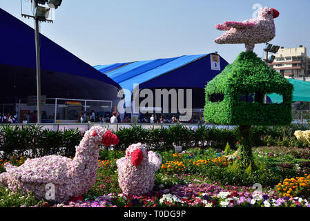 Vögel mit Blumen, Blumengarten, Surat, Gujarat, Indien, Asien Stockfoto