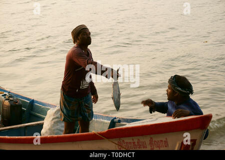 Fischer mit frischem Fisch, Fort Kochi, Kochi, Cochin, Kerala, Indien, Asien Stockfoto