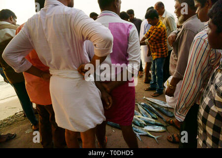 Fischer mit frischem Fisch, Fort Kochi, Kochi, Cochin, Kerala, Indien Stockfoto