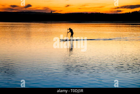 Stand-up-Paddling bei Sonnenuntergang in den See, Konzept entspannender Sport Stockfoto