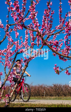 Veria, Griechenland - 17. März 2019: Radfahren auf den blühenden Pfirsichbäumen im Veria Normales, zum dritten Mal organisiert von der Veria Touristic Club. Natu Stockfoto