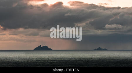 Skellig Inseln, Kerry, Irland. 26. April 2015. Skellig Inseln liegen (12 km) vor der Küste von Kerry. Jetzt ein UNESCO-Weltkulturerbe, Mönche einst li Stockfoto