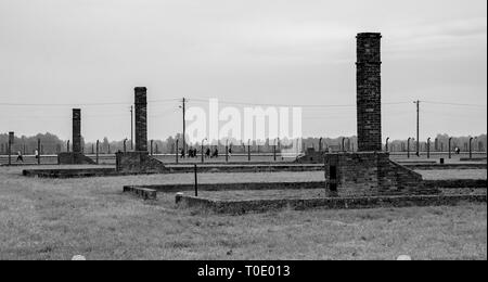 Oswiecim, Polen - 11. Juli 2018. Gemauerte Schornsteine, die einst Teil der Kaserne in Birkenau. Der Rest der Baumaterialien wurden zur Wiederverwendung Stockfoto