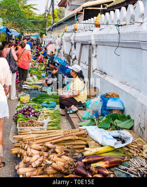 Frauen Gemüse verkaufen, Bambus schießen und Bambusrohren, morgen Street Food Market, Luang Prabang, Laos, Se Asien Stockfoto