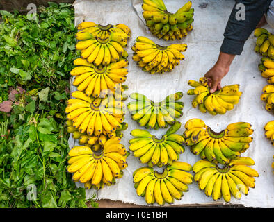 Bananen für Verkauf an Morgen Street Food Market, Luang Prabang, Laos, Se Asien Stockfoto