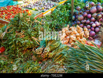 Pflanzliche Anzeige am Marktstand mit Cherry Tomaten, grüne Kürbisse, Kräuter und Thai purple Aubergine, Phosy Tag Markt, Luang Prabang, Laos, Se Asien Stockfoto