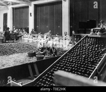 Lebensmittelindustrie, Catania, Sizilien, Italien 1920 Stockfoto