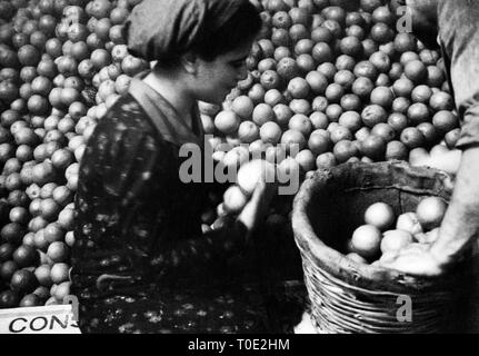 Lebensmittelindustrie, Catania, Sizilien, Italien 1920 Stockfoto