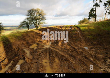 Ein multi-Ausgefahrene byway durch off-road Fahrzeuge beschädigt. Stockfoto