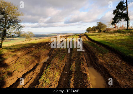 Ein multi-Ausgefahrene byway durch off-road Fahrzeuge beschädigt. Stockfoto