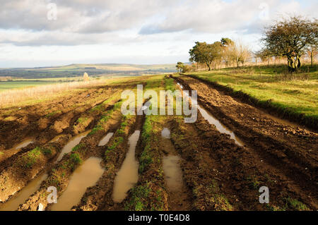 Ein multi-Ausgefahrene byway durch off-road Fahrzeuge beschädigt. Stockfoto