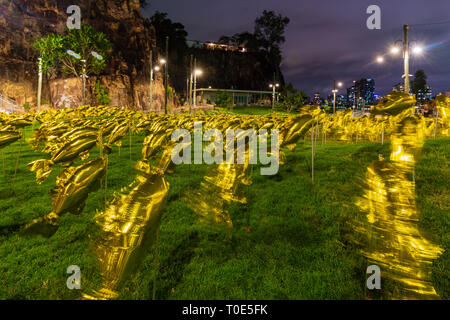 Fisch Ballons auf dem Gras an Howard Smith Wharf, in Brisbane Queensland Australien. Stockfoto