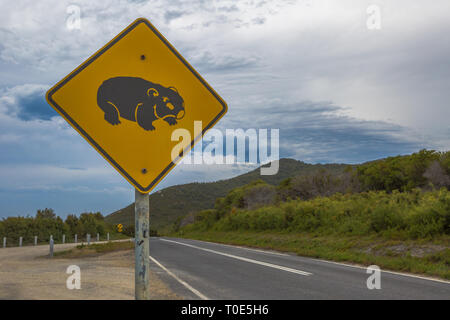 Nahaufnahme von Warnzeichen für Wombat Kreuzung, auf Tasmanien. Stockfoto