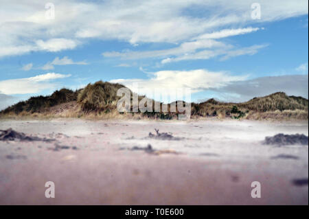 St Andrews, Schottland West Sands Beach Stockfoto
