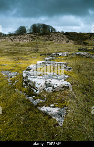 Freiliegende Kalkstein an der alten Grubenbaue bei Ubley Warren Naturschutzgebiet in den Mendip Hills in der Nähe der Kartause, Somerset, England. Stockfoto