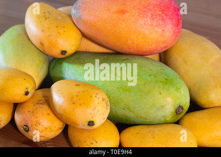 Stapel von mehreren Sorten von Mangos in verschiedenen Größen und Farben. Stockfoto