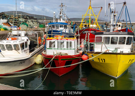 Fischerboote im Hafen von Portmagee, County Kerry, Irland Stockfoto