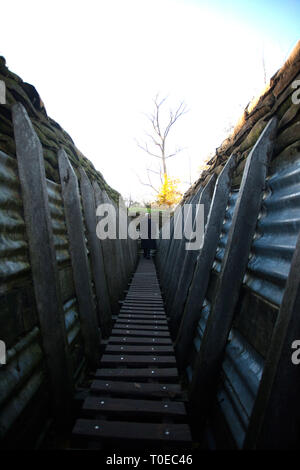 Replica gräben errichtet an der Memorial Museum Passchendaele waren Sie können Erfahrung Bedingungen der grabenkrieg von WW 1. Stockfoto