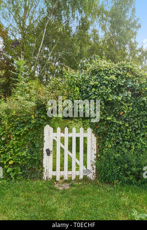 Weiße kleine hölzerne Tür in Hedge vor Garten Stockfoto