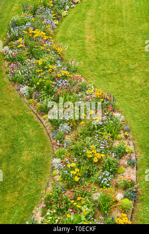 Viele bunte Blumen blühen auf der grünen Wiese im Sommer Stockfoto