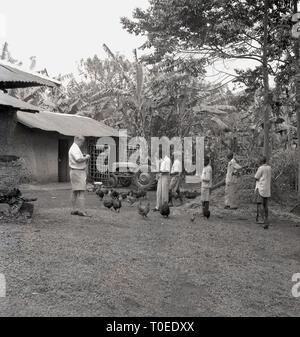 1950er Jahre, der britische Landwirt mit Hühnern und seine afrikanischen Mitarbeiter auf seiner Farm, Uganda, Afrika. Stockfoto