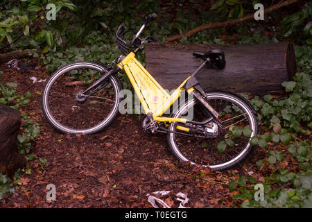 Ein Fahrrad, das zum dockless-Bike-Sharing-System YoBike gehört, das am Southampton Common unter Büschen aufgegeben wurde. Stockfoto